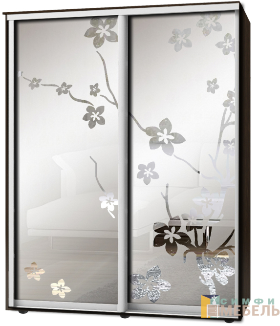Шкаф-купе 2х дв Стандарт Пескоструй фон матовый № 70