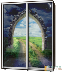 Шкаф-купе 2х дв Стандарт Фотопечать № 61