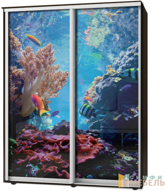 Шкаф-купе 2х дв Стандарт Фотопечать № 161