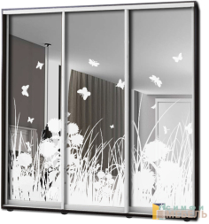 Шкаф купе 3х дв Пескоструй № 28