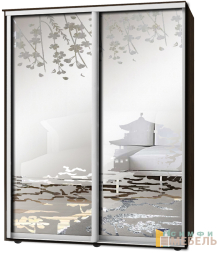 Шкаф-купе 2х дв Стандарт Пескоструй фон матовый № 71