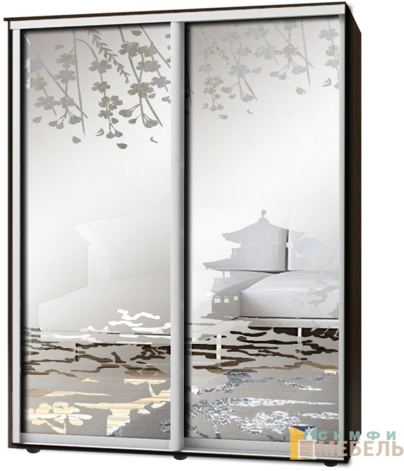 Шкаф-купе 2х дв Стандарт Пескоструй фон матовый № 71