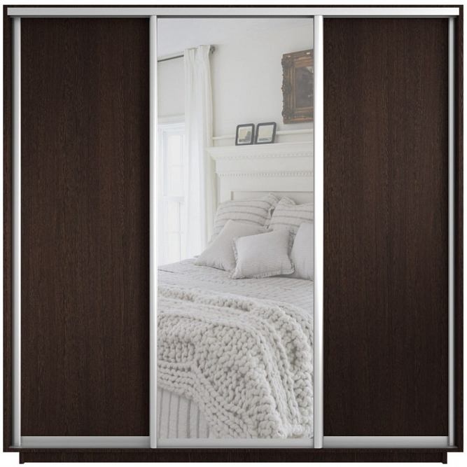 Шкаф-купе Экспресс 3-х дверный ( ЛДСП/Зеркало) Венге