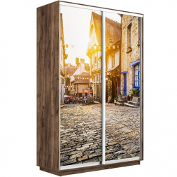 Шкаф-купе Экспресс 2-х дверный (Фото №1022 Улица)