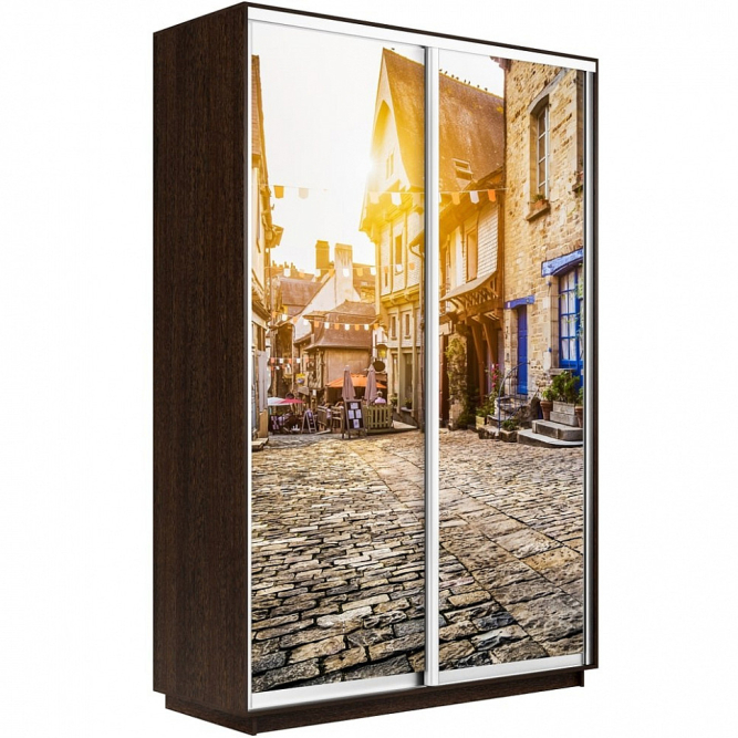 Шкаф-купе Экспресс 2-х дверный (Фото №1022 Улица)