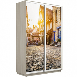 Шкаф-купе Экспресс 2-х дверный (Фото №1022 Улица)