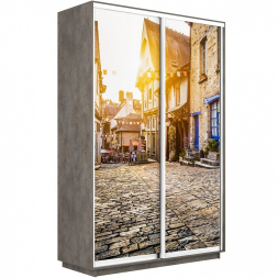 Шкаф-купе Экспресс 2-х дверный (Фото №1022 Улица)