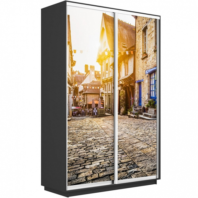 Шкаф-купе Экспресс 2-х дверный (Фото №1022 Улица)