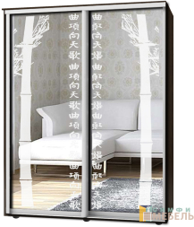 Шкаф-купе 2х дв Стандарт Пескоструй № 53+53