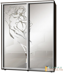 Шкаф-купе 2х дв Стандарт Пескоструй фон матовый № 72