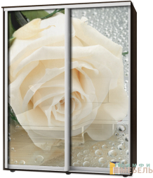 Шкаф-купе 2х дв Стандарт Фотопечать № 163