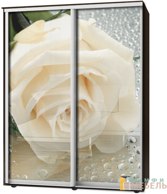 Шкаф-купе 2х дв Стандарт Фотопечать № 163