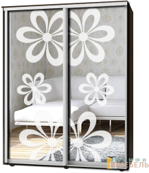 Шкаф-купе 2х дв Стандарт Пескоструй № 54+54