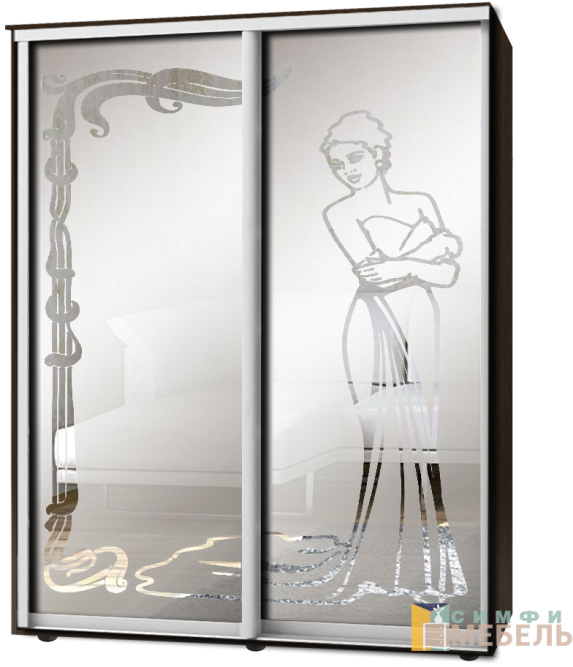 Шкаф-купе 2х дв Стандарт Пескоструй фон матовый № 74