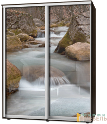 Шкаф-купе 2х дв Стандарт Фотопечать № 165