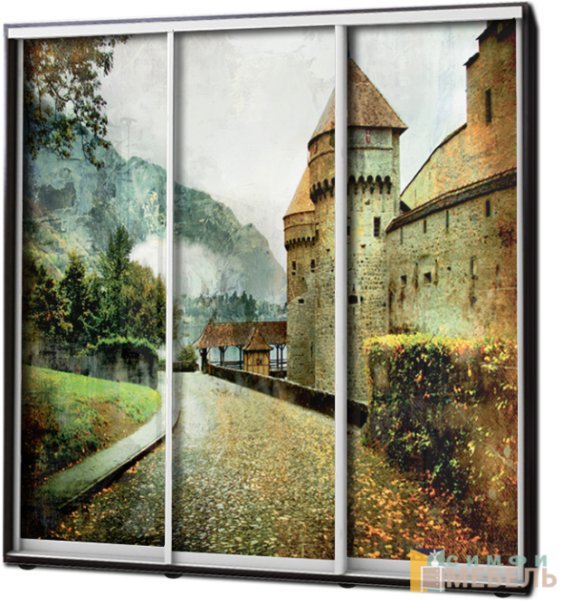 Шкаф купе 3х дв Фотопечать № 36