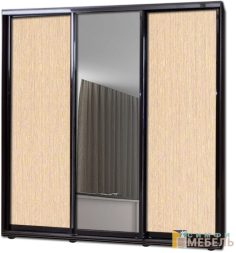 Шкаф купе 3х дв Комби 1 Венге светлый|Зеркало