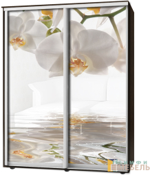 Шкаф-купе 2х дв Стандарт Фотопечать № 167