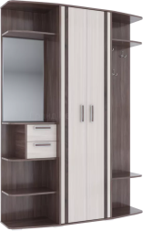 Прихожая Визит