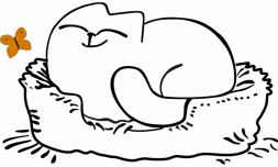 Кровать двухуровневая Кот 900.1