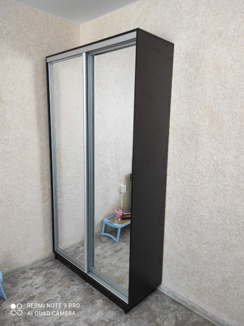 Шкаф-купе 2х дв Стандарт Комби 1 Зеркало|Зеркало