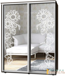 Шкаф-купе 2х дв Стандарт Пескоструй № 41