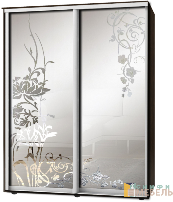 Шкаф-купе 2х дв Стандарт Пескоструй фон матовый № 77