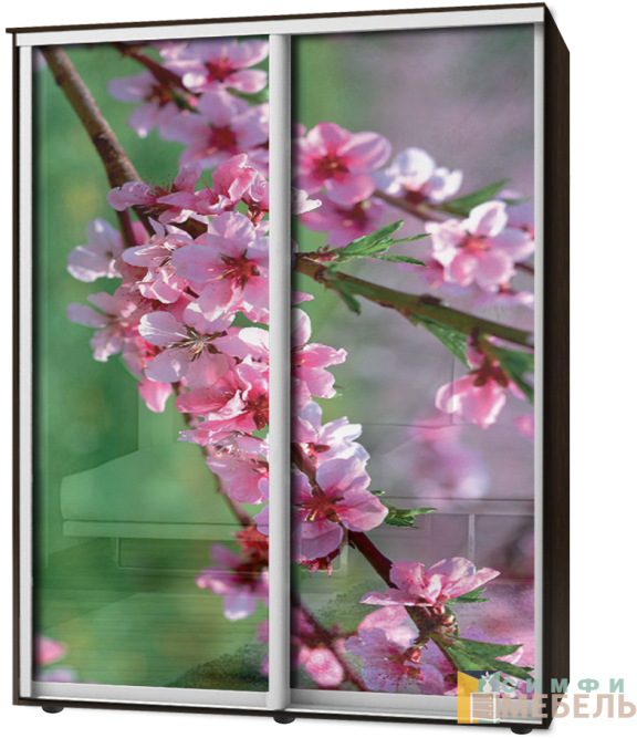 Шкаф-купе 2х дв Стандарт Фотопечать № 168