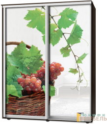 Шкаф-купе 2х дв Стандарт Фотопечать № 69