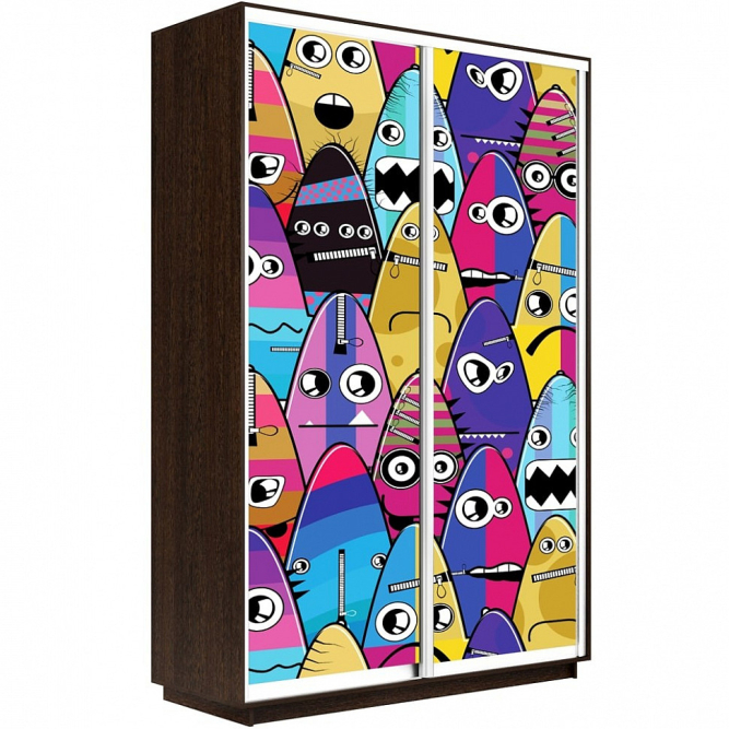 Шкаф-купе Экспресс 2-х дверный (Фото №1009)