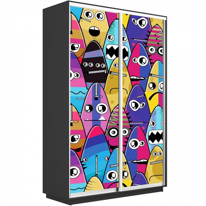 Шкаф-купе Экспресс 2-х дверный (Фото №1009)