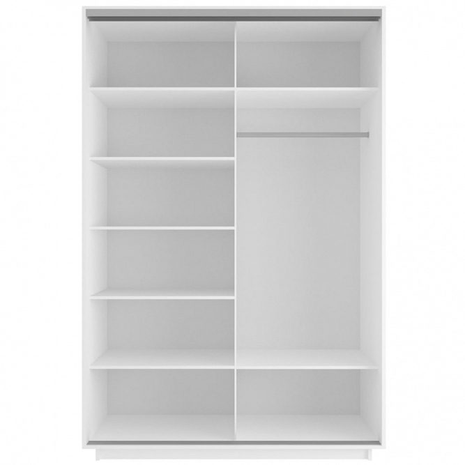 Шкаф-купе Экспресс 2-х дверный (Фото №1009)