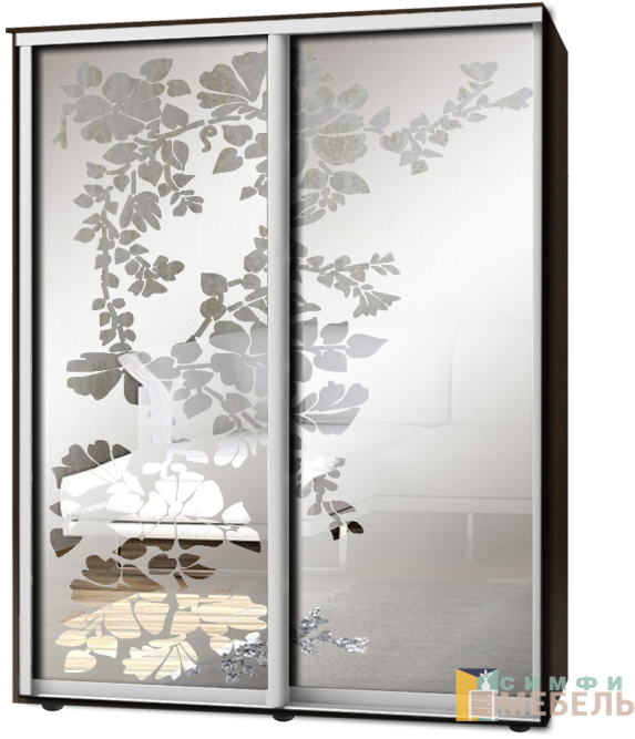 Шкаф-купе 2х дв Стандарт Пескоструй фон матовый № 80