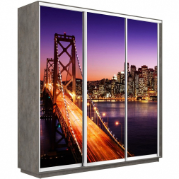 Шкаф-купе Экспресс 3-х дверный (Фото №1007 Ночной мост)