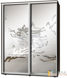 Шкаф-купе 2х дв Стандарт Пескоструй фон матовый № 81