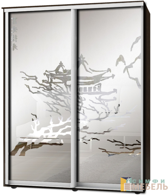 Шкаф-купе 2х дв Стандарт Пескоструй фон матовый № 81