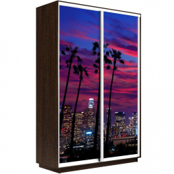 Шкаф-купе Экспресс 2-х дверный (Фото №1014 Закат над городом)