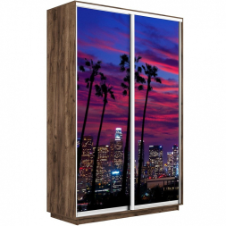 Шкаф-купе Экспресс 2-х дверный (Фото №1014 Закат над городом)