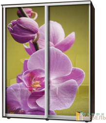 Шкаф-купе 2х дв Стандарт Фотопечать № 73