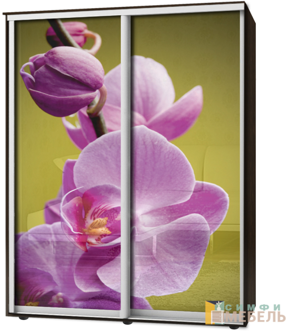 Шкаф-купе 2х дв Стандарт Фотопечать № 73