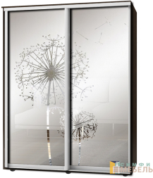 Шкаф-купе 2х дв Стандарт Пескоструй фон матовый № 83