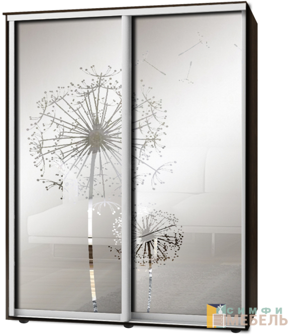 Шкаф-купе 2х дв Стандарт Пескоструй фон матовый № 83