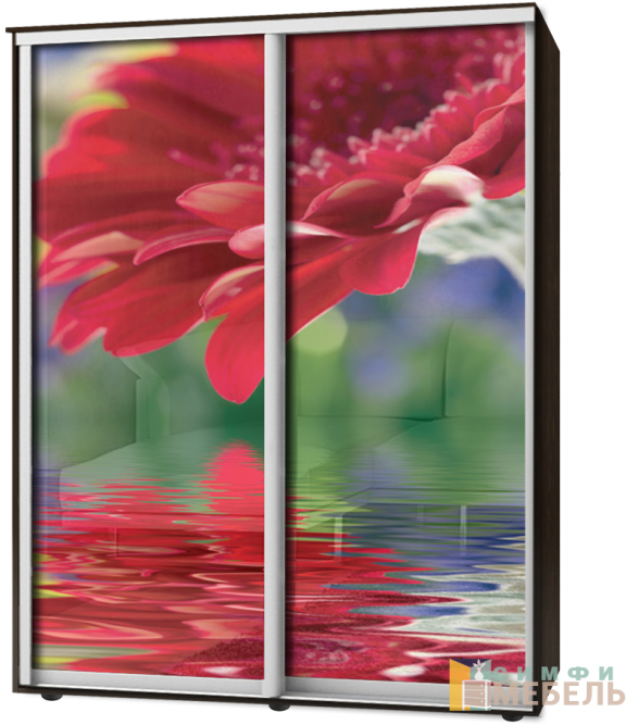 Шкаф-купе 2х дв Стандарт Фотопечать № 74
