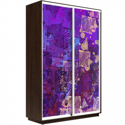 Шкаф-купе Экспресс 2-х дверный (Фото №1012)