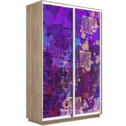 Шкаф-купе Экспресс 2-х дверный (Фото №1012)