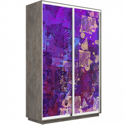 Шкаф-купе Экспресс 2-х дверный (Фото №1012)