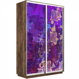 Шкаф-купе Экспресс 2-х дверный (Фото №1012)