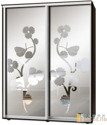 Шкаф-купе 2х дв Стандарт Пескоструй фон матовый № 84