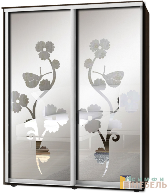 Шкаф-купе 2х дв Стандарт Пескоструй фон матовый № 84
