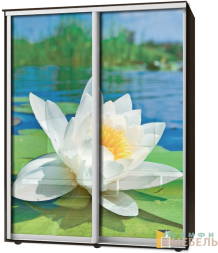 Шкаф-купе 2х дв Стандарт Фотопечать № 75